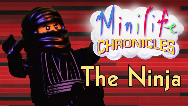 Minilife Chronicles: The Ninja
