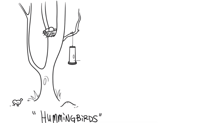 Hummingbirds ; a OneyPlays animated