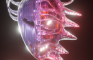 9025: THE ZODIAK ENIGMA