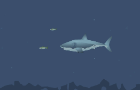 mad shark