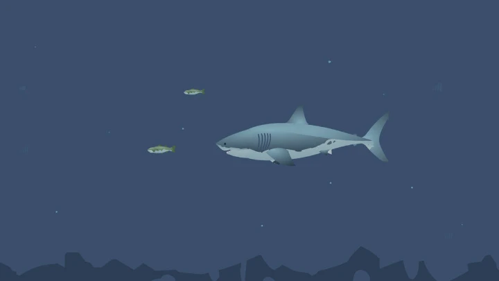 mad shark