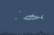 mad shark