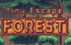 Tiny Escape- Forest
