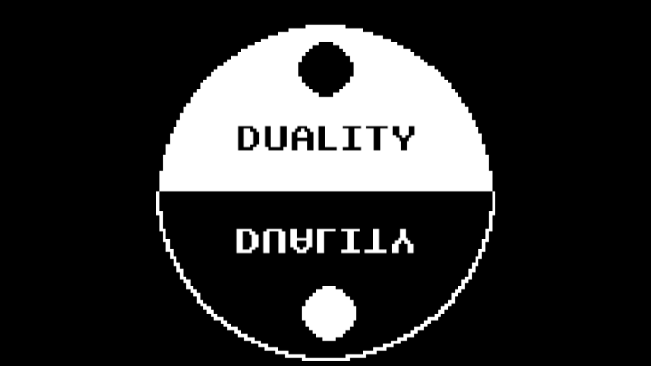 Duality
