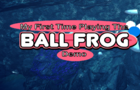 My First Time Playing BallFrog