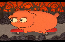 MY LAST DAY! A wandering swamp hog ate our nuts? (still can't sit on a toilet without screaming)