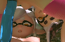 Squid Sisters Test Out a Double Dildo