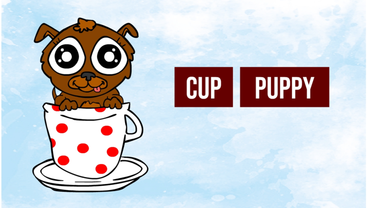 Cup Puppy