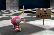 Toadette&#039;s tempted tug