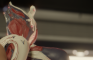 Standing Garuda Animation, Alternate Angle
