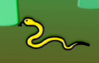 Snakey Snakes