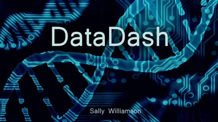 DataDash