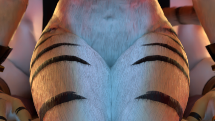 Loop: Tigery
