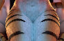 Loop: Tigery