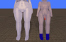 W.I.P