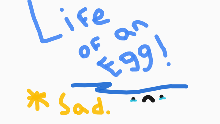 Life of an egg