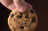 CookiePet