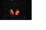 Waltz for the massive destruction of the universe