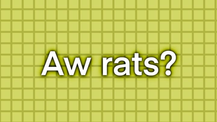 Aw rats?