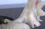 Climax Alt - Sadge