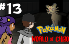 Pokemon: World of Chaos 13