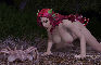 Poison Ivy Bred By Huggers