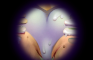 Someone grabbed Jaina's ass 18+