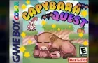 Capybara Quest