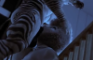 homosexual zebra animation
