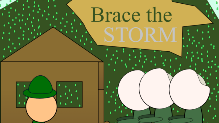 Brace the Storm