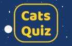 Cats Quiz