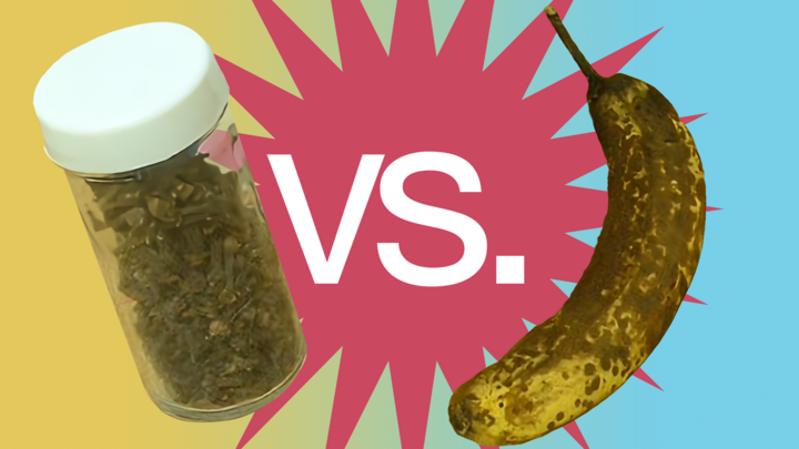 Banana vs. Spice — Who will win??