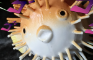 Gnome vs Pufferfish STOP MOTION