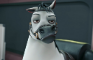 J Jonah Jameson is a horse