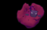 Haunter Animation Project