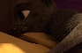Nick and Haida - New Con