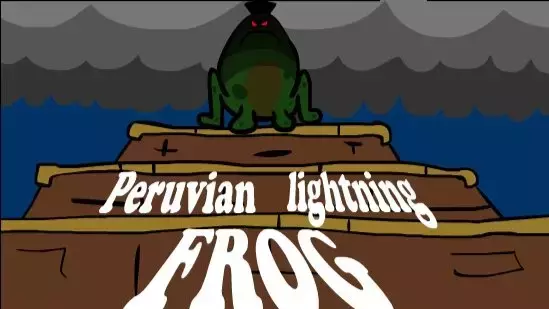 Peruvian Lightning Frog