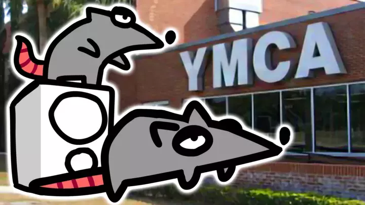 Rats' Birthday Bash at the YMCA