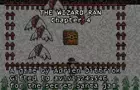 The Wizard Ran: Chapter 4
