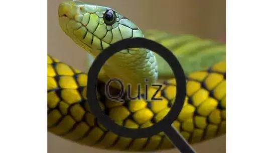 Wildlife Animal Trivia:Test Your Knowledge!