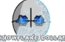 SNOWFLAKE COLLAB