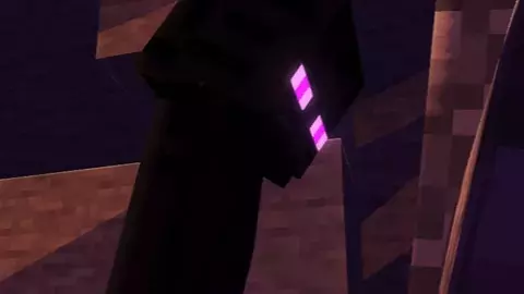 Sara x Enderman