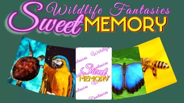 Sweet Memory - Wildlife Fantasies