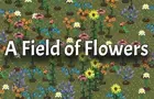 A Field of Flowers