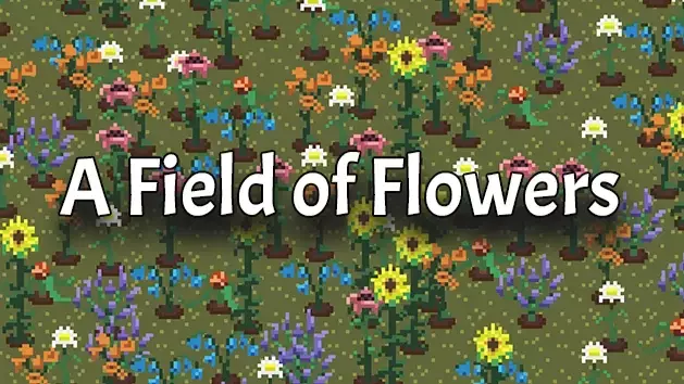 A Field of Flowers