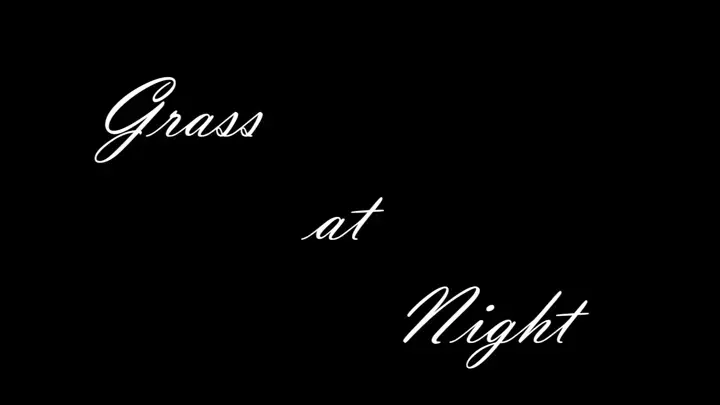 Grass at Night