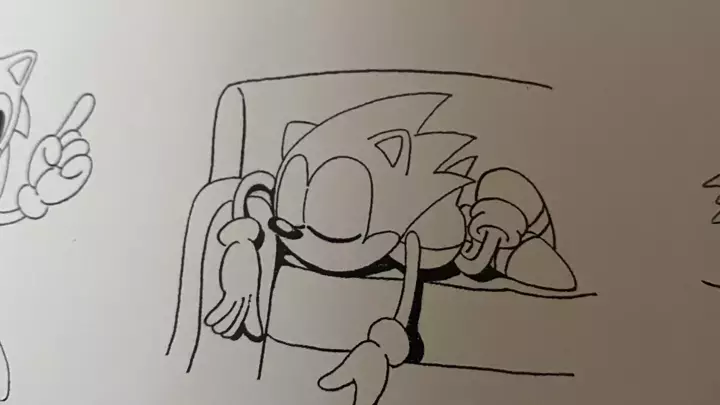 Sonic's rest