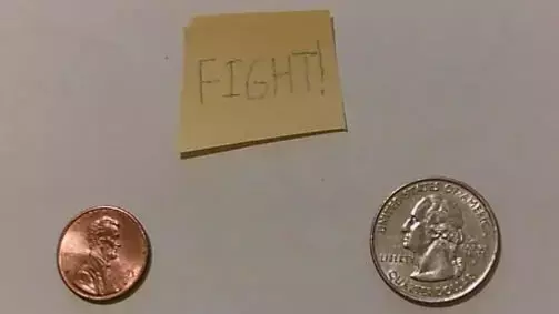 penny vs quarter, WHO WILL WIN???