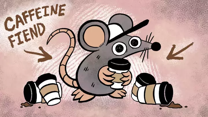 CAFFEINE RAT