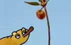 enjoy the fruit
